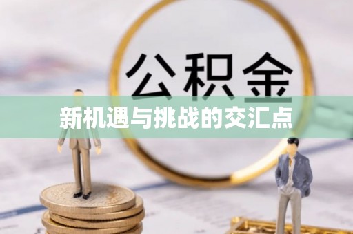 博尔塔拉蒙古新机遇与挑战的交汇点