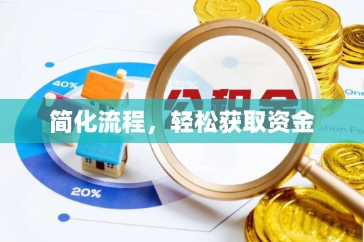 左云简化流程，轻松获取资金